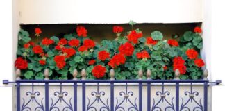 Progettare un balcone 899 0 PROGETTARE UN BALCONE